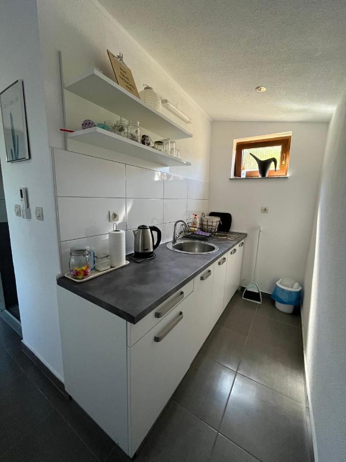 Guesthouse Hodak Селиште-Дрежничко Экстерьер фото