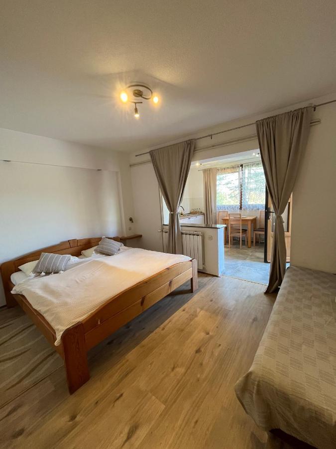 Guesthouse Hodak Селиште-Дрежничко Экстерьер фото