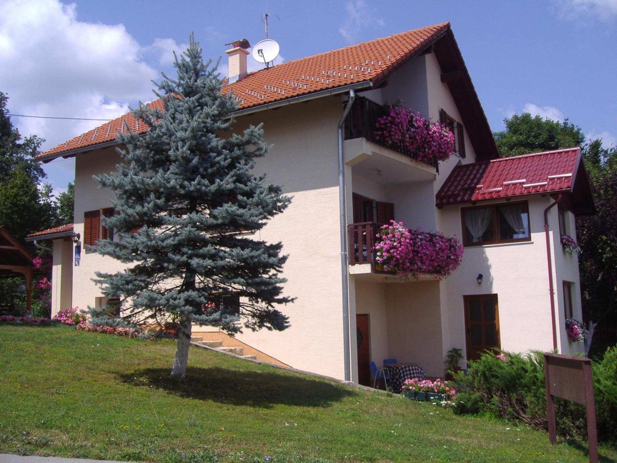 Guesthouse Hodak Селиште-Дрежничко Экстерьер фото